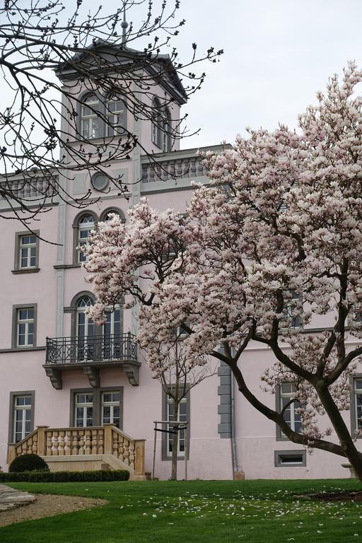 Rittergut Rottewitz Hotel ไมเซน ภายนอก รูปภาพ